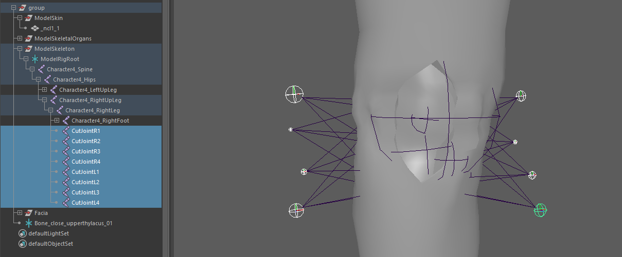 ../../../_images/Maya_joints.png